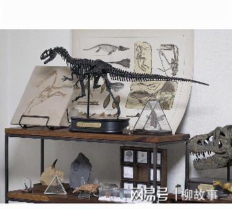 具有满满科技感的屋子各种酷炫的科学内饰能满足你的求知欲开云体育 开云官网(图9)