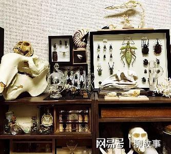 具有满满科技感的屋子各种酷炫的科学内饰能满足你的求知欲开云体育 开云官网(图10)