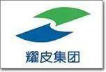 传“玻”品牌价值！2022建筑玻开云 开云体育APP璃首选品牌榜单(图6)