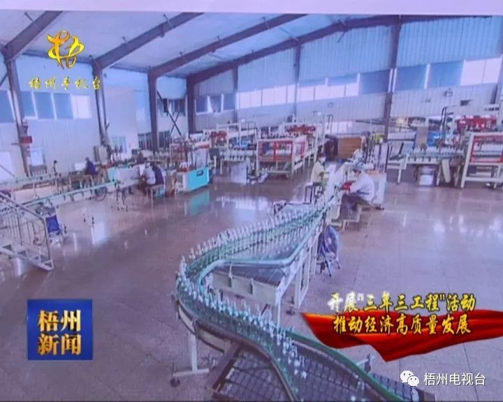 苍梧县晶盛年产28万吨玻璃制品开云 开云体育平台生产项目开工(图4)