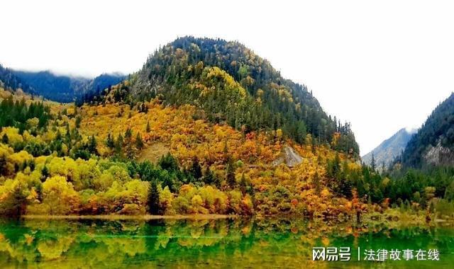 出门旅游不管坐飞机还是大巴这6样东西要带上旅途更舒心开云体育 开云平台(图1)