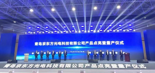 2022年显示面板及模组、玻璃基板、偏光片等重大项目最新进展汇总开云 开云体育平台(图13)