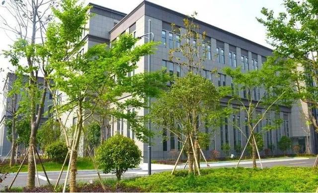 姜堰28个项目超百亿先睹为开云 开云体育快(图5)