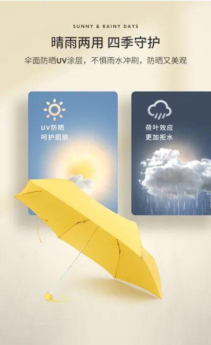 开云体育 Kaiyun.com 官网入口英国皇室品牌晴雨伞轻得让你怀疑人生！(图17)