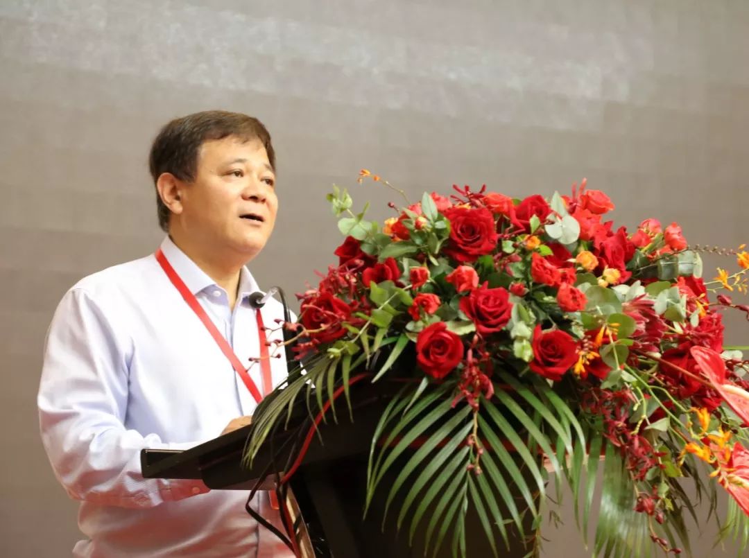 第40届全国玻璃开云APP 开云官网入口纤维专业情报网年会在桐召开(图3)