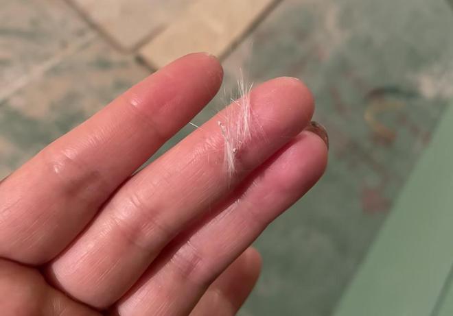 开云APP 开云官网入口这种玻璃纤维会伤害身体！很多家庭却还在用快看你家中枪没？(图4)