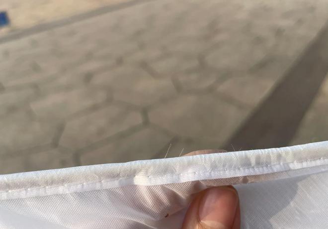 开云APP 开云官网入口这种玻璃纤维会伤害身体！很多家庭却还在用快看你家中枪没？(图5)