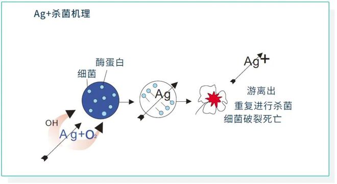 用了半开云体育 Kaiyun.com 官网入口年的筷子比马桶还脏！换上这双合金筷抑菌、不发霉！告别病从口入(图4)
