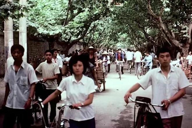 上世纪风靡的“的确良”现在去哪了？其实它在我Kaiyun 开云们身边换了个名(图13)