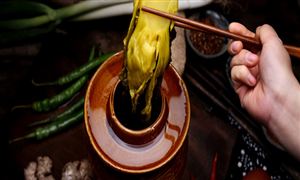 玻璃酒瓶行业市场有多大？玻璃酒瓶市场供需求状况及行业趋势分析2023开云 开云体育平台(图5)