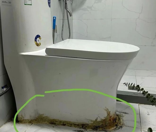 越来越多人卫生间不装马桶？看了这户人Kaiyun 开云家的做法直呼开了眼界了(图4)