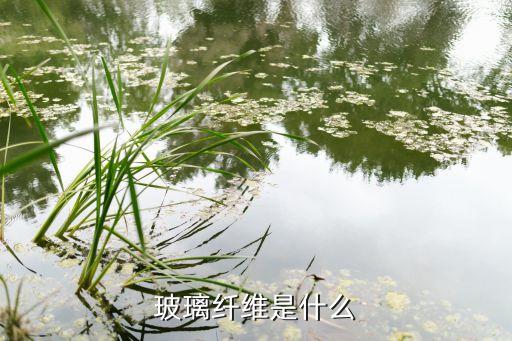 开云体育 开云平台玻璃纤维是什么材料玻璃纤维用什么材料做的(图2)